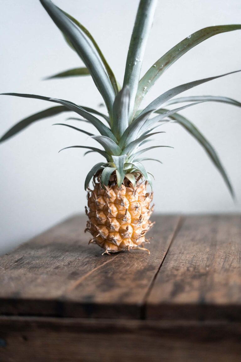 Odla ananas hemma ~ plantera från frukt